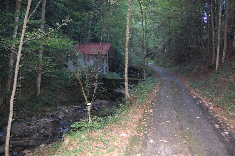 Datei:Vetterbachverlauf mit alter Holzingerstraße.jpg