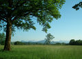 Wenger Moor 02.jpg