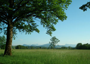Wenger Moor 02.jpg