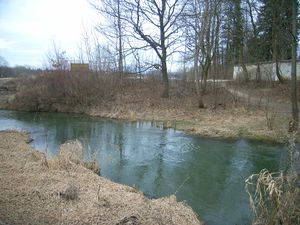 Käferheimer Mühlbach bei der Kleßheimer Schloßparkmauer.jpg