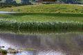 Hundsfeldsee obertauern 30878 2016-08-04.jpg