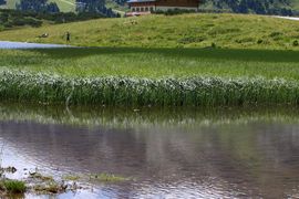 Hundsfeldsee obertauern 30878 2016-08-04.jpg