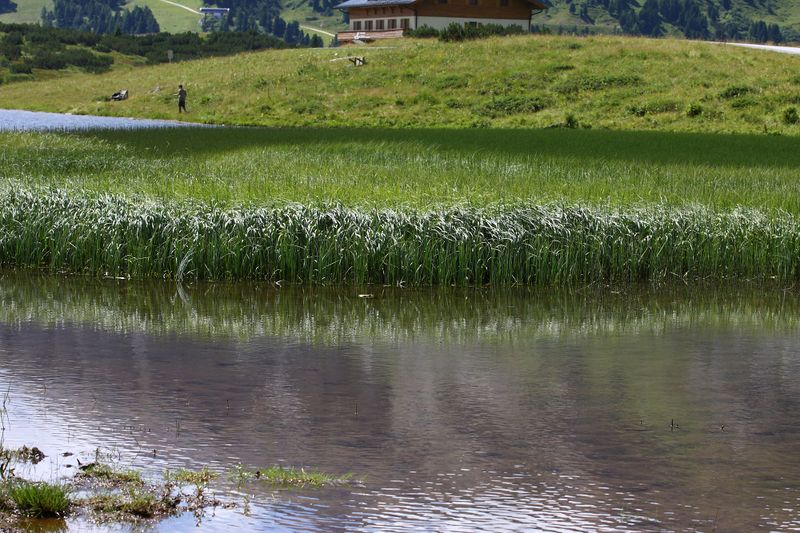 Datei:Hundsfeldsee obertauern 30878 2016-08-04.jpg