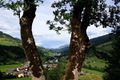 Salzachtal St. Georgen im Pinzgau.jpg