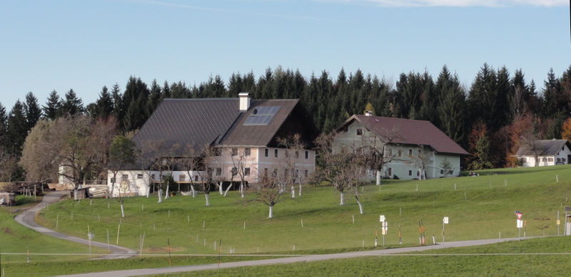 Datei:Schnitzlehen in Thalgauegg,.jpg