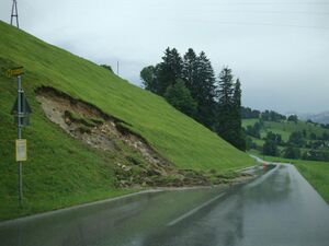 DSC00219.jpg