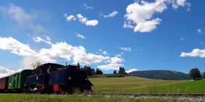 Dampfzug Taurachbahn Lungau 20250831 3 (75).jpg