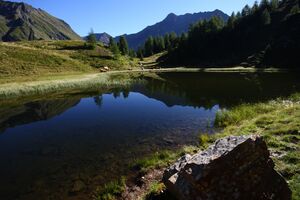 Gralatisee 32921 2016-08-25.jpg