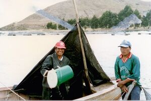 Gruell Peru 17.jpg