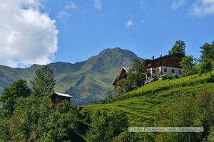 Gaisbachtal Rauris 09.jpg