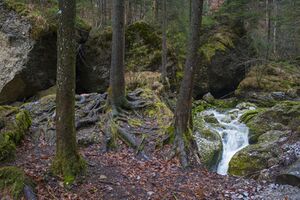 Glasenbachklamm, Klüfte.JPG