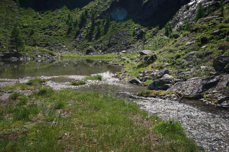Datei:Lacken weißpriach 29541 2016-07-10.jpg