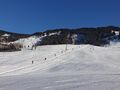 Hahnbaum-Schlepplift 04.jpg