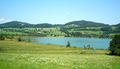 Irrrsee, Nordufer 029.jpg