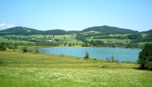 Irrrsee, Nordufer 029.jpg