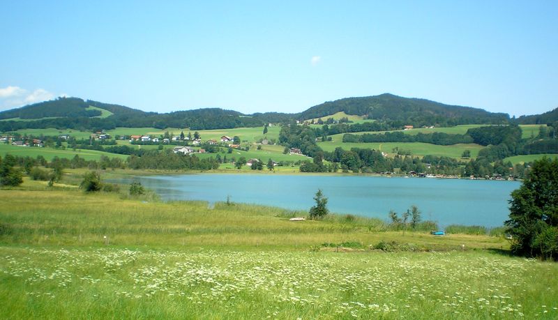 Datei:Irrrsee, Nordufer 029.jpg