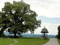 Maria Plain, Brunnen und Linde.jpg