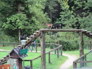 Tiermut IMG 6514.jpg