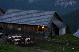 Twenger Alm 29450 2016-07-10.jpg