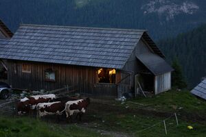 Twenger Alm 29450 2016-07-10.jpg