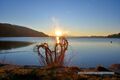2024 11 30 Seezauber Wallersee Neumarkt Sonnenuntergang 02.jpg
