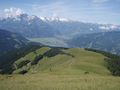 Blick auf Zeller Becken und Hohe Tauern. Im Vordergrund Arnikablüten..jpg