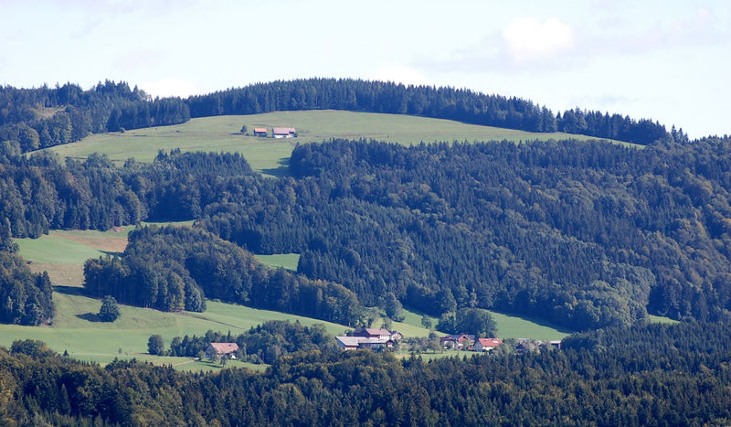 Datei:Holzinger und Schernthan.jpg