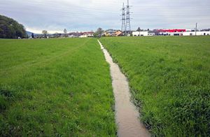 Plainbach vor der Rekultivierung 2016 a.jpg