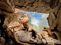 2025 02 02 Haus der Natur 13.jpg