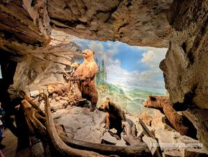 2025 02 02 Haus der Natur 13.jpg