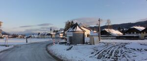 DSC01100.JPG