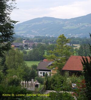 DSC 0031 Kopie.jpg