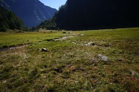 Gollinganger 33997 2016-08-25.jpg