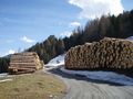 Blochholz am Brucker Berg.jpg