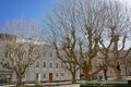 Franz-Josef-Straße Alleebäume Salzburg.jpg
