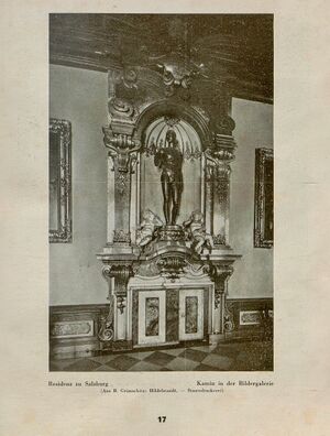 Alte Residenz Kamin Bildergalerie.jpg