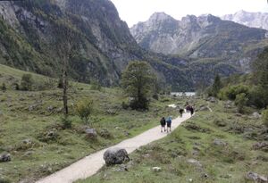 Der Weg von Steinen gesäumt.jpg