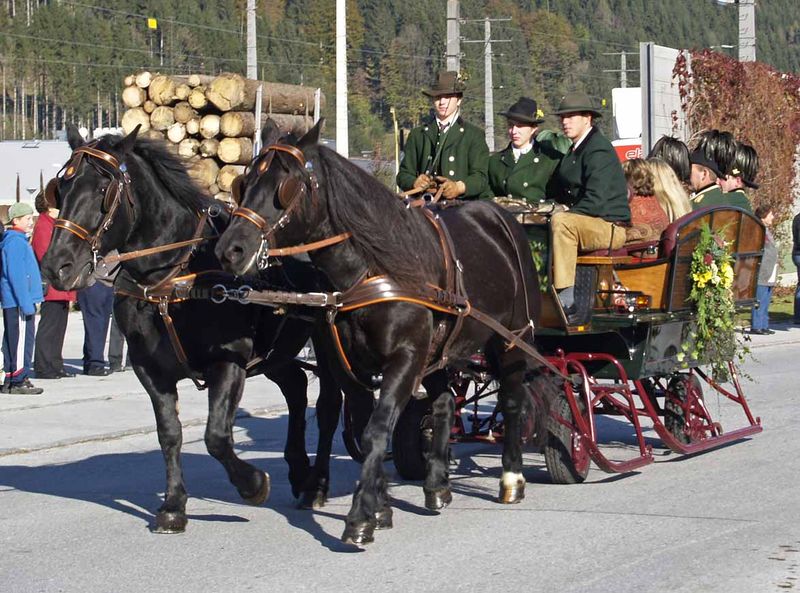 Datei:Leonhardiritt03.jpg