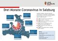 Corona Virus Übersicht drei Monate.jpg