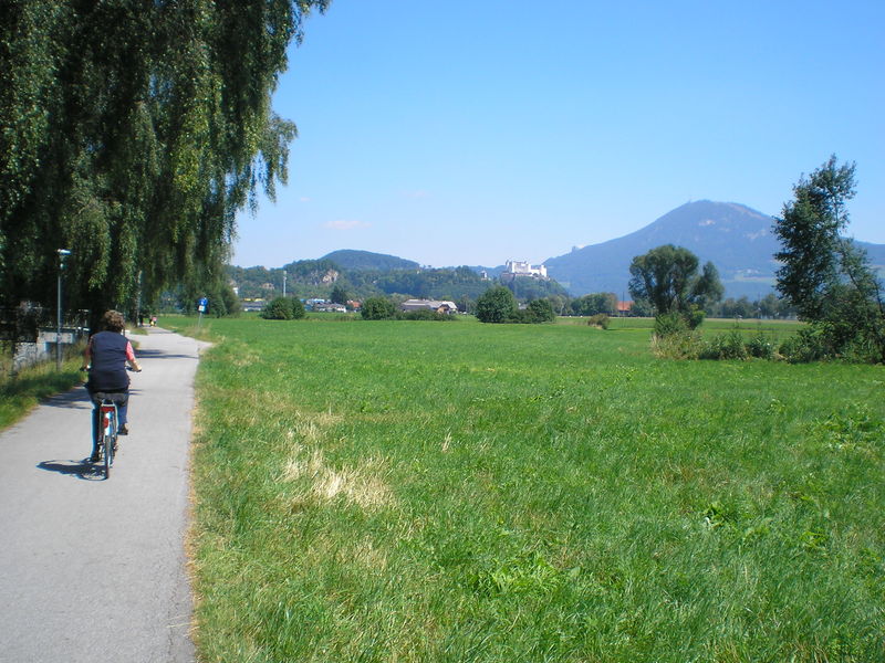 Datei:Glan-Treppelweg.jpg