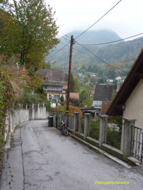 Weingartenstraße.jpg