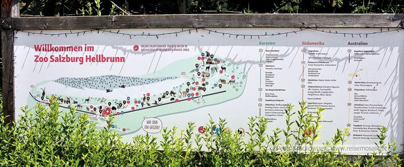 Datei:2025 06 17 Zoo Salzburg Übersichtsplan.jpg