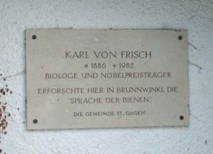 Inschrift Frisch.jpg