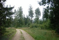 Kobernaußerwald-Landschaft bei Schneegattern.jpg