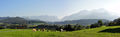 Adnet-Panoramabild vom Wiestal aus.JPG