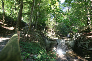 Gnigl Wiki Wanderweg.jpg