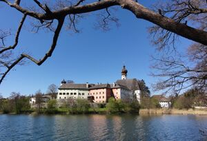 Klassische Ansicht mit Baum.jpg
