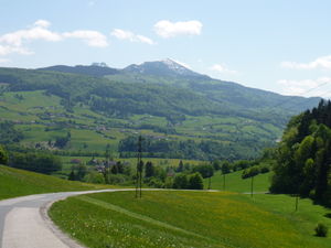 P1000702.JPG