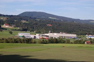Sonyansicht in Thalgau.jpg