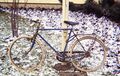 Christian Ast Fahrrad.jpg
